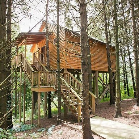 Whispering Pines Treehouse By Amish Country Lodging 米勒斯堡 外观 照片