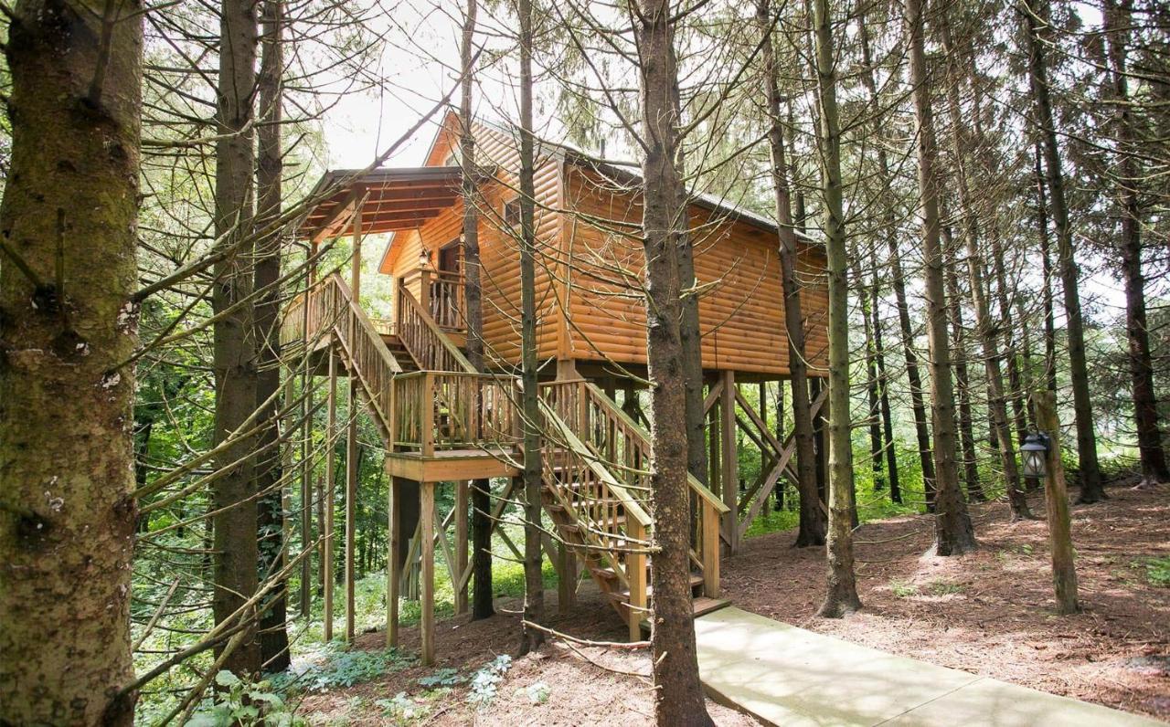 Whispering Pines Treehouse By Amish Country Lodging 米勒斯堡 外观 照片